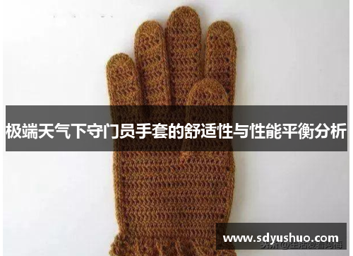 极端天气下守门员手套的舒适性与性能平衡分析