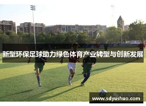 新型环保足球助力绿色体育产业转型与创新发展